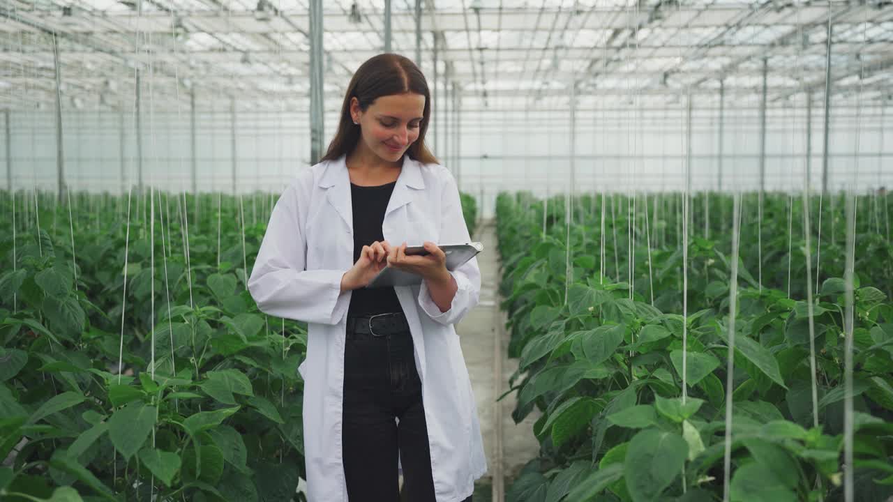 种植有机蔬菜。女性生物学家，在温室里设计灌溉系统，实验室员工检查甜椒的叶子，收集温室里蔬菜和植物的生长数据视频下载