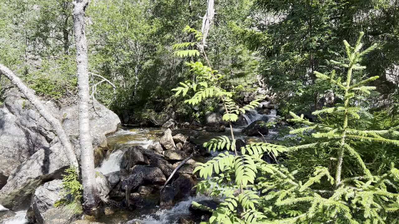 山间溪流在树林里，在岩石上流动，挪威视频下载