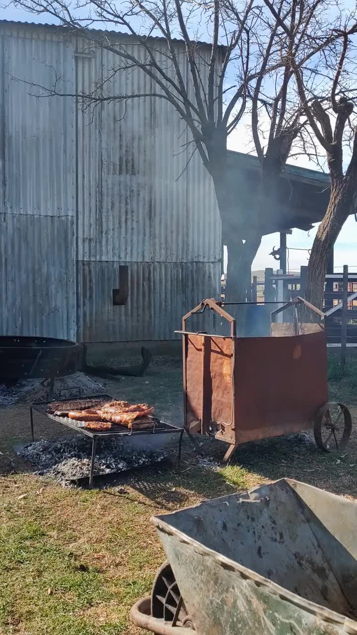 乡村传统的户外烹饪，有冒烟的烧烤架、质朴的棚屋、动物围栏和手推车。4K 60fps垂直视频下载