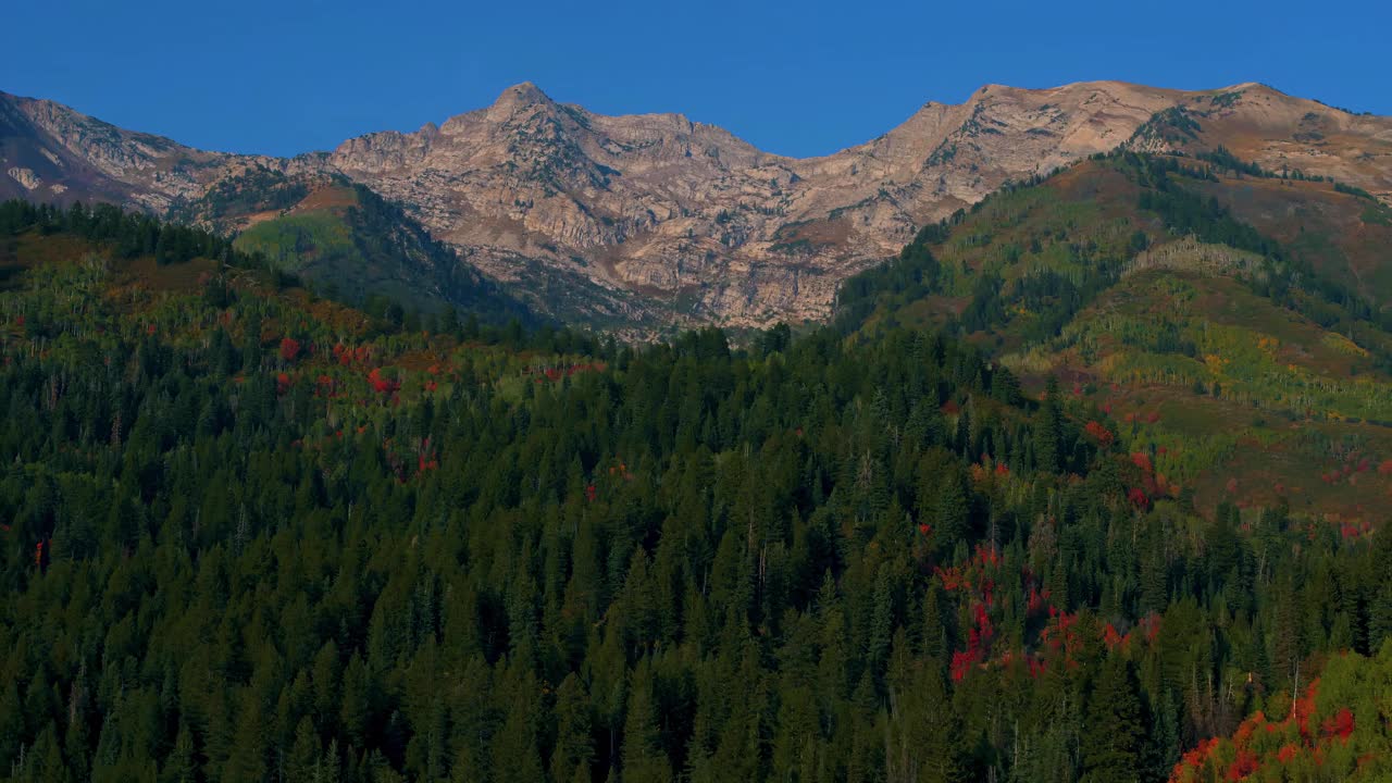 在晴朗的蓝天下，充满活力的秋叶在山上的景观视频素材