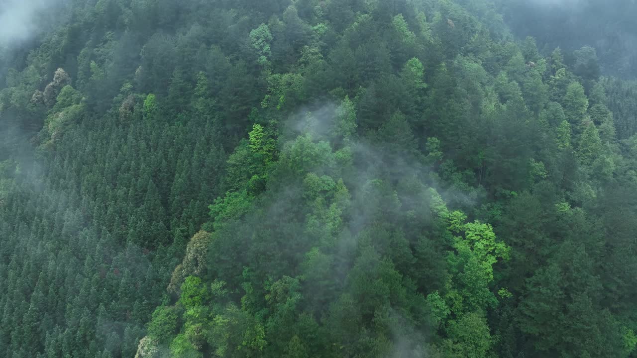 中国贵州绿色森林景观鸟瞰图视频下载