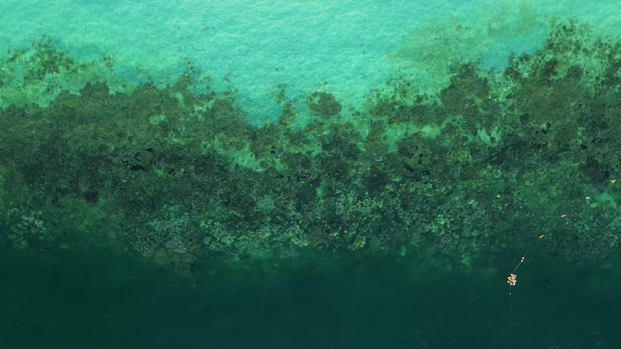 鸟瞰在清澈的热带水域中的珊瑚礁形成，Koh Kradan, Trang，泰国视频下载