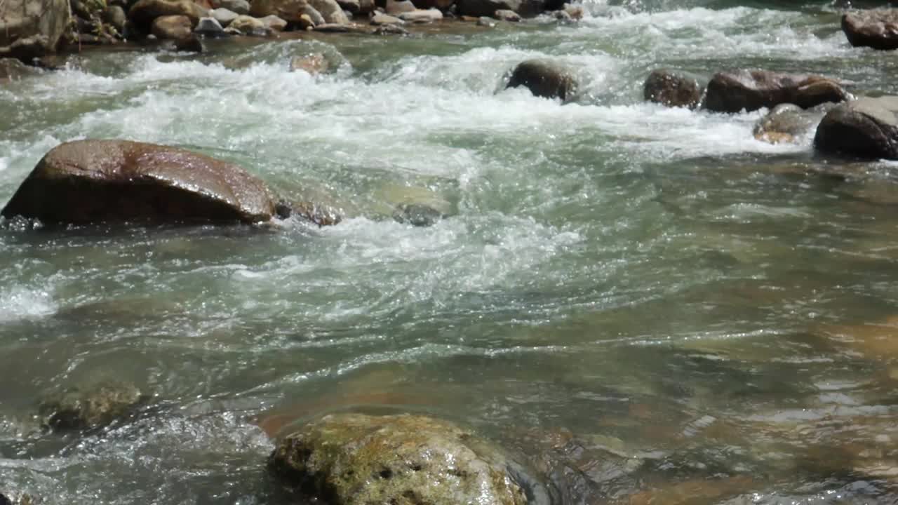 河水视频素材