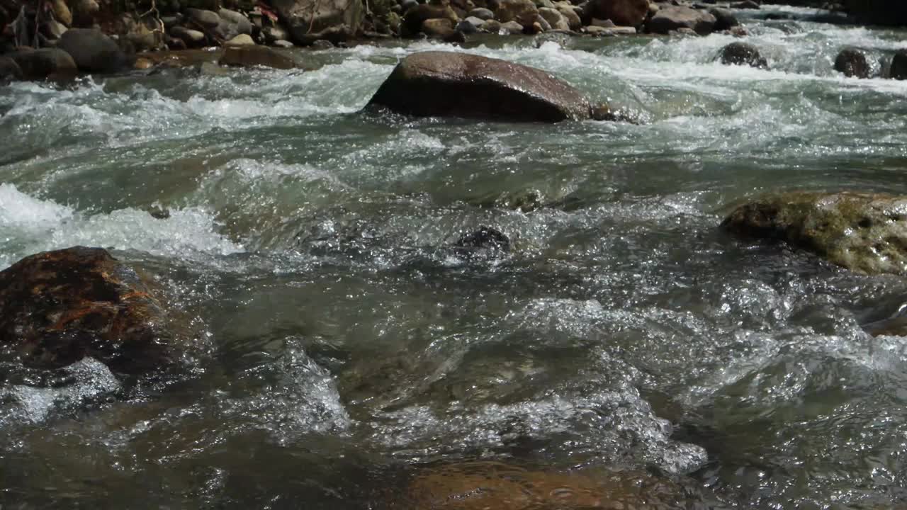 河水视频下载