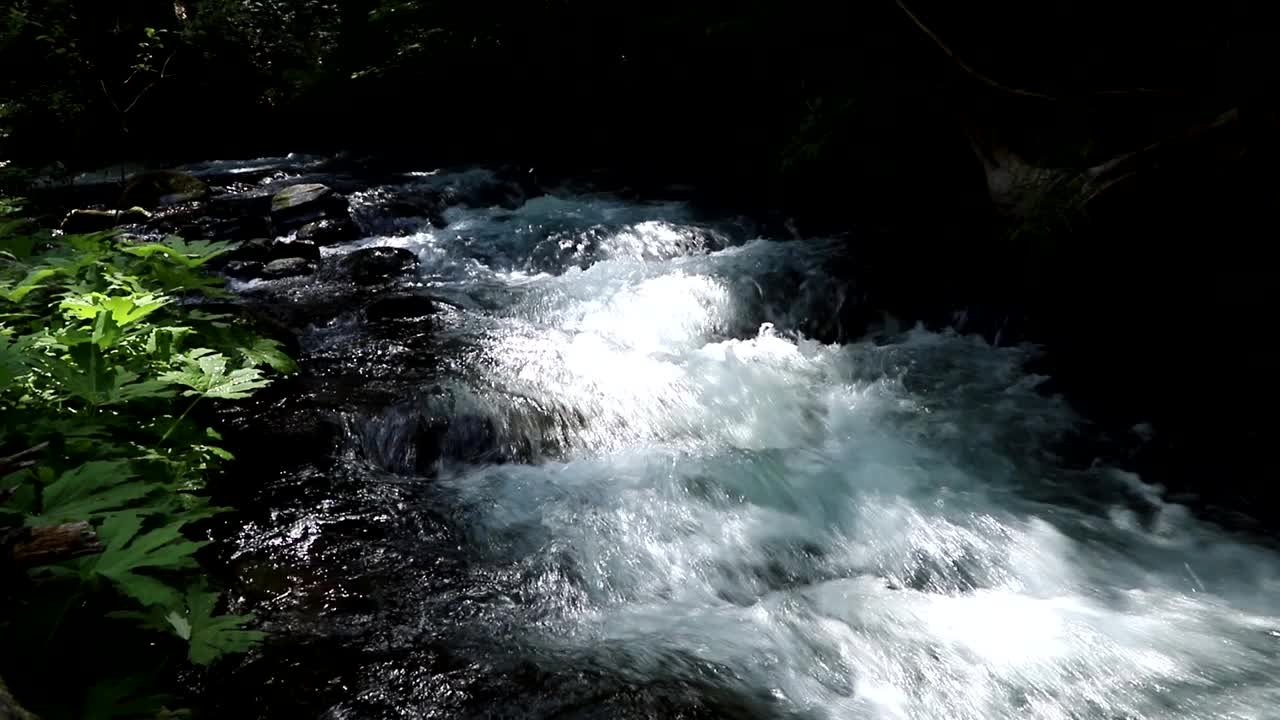 阳光山溪视频素材