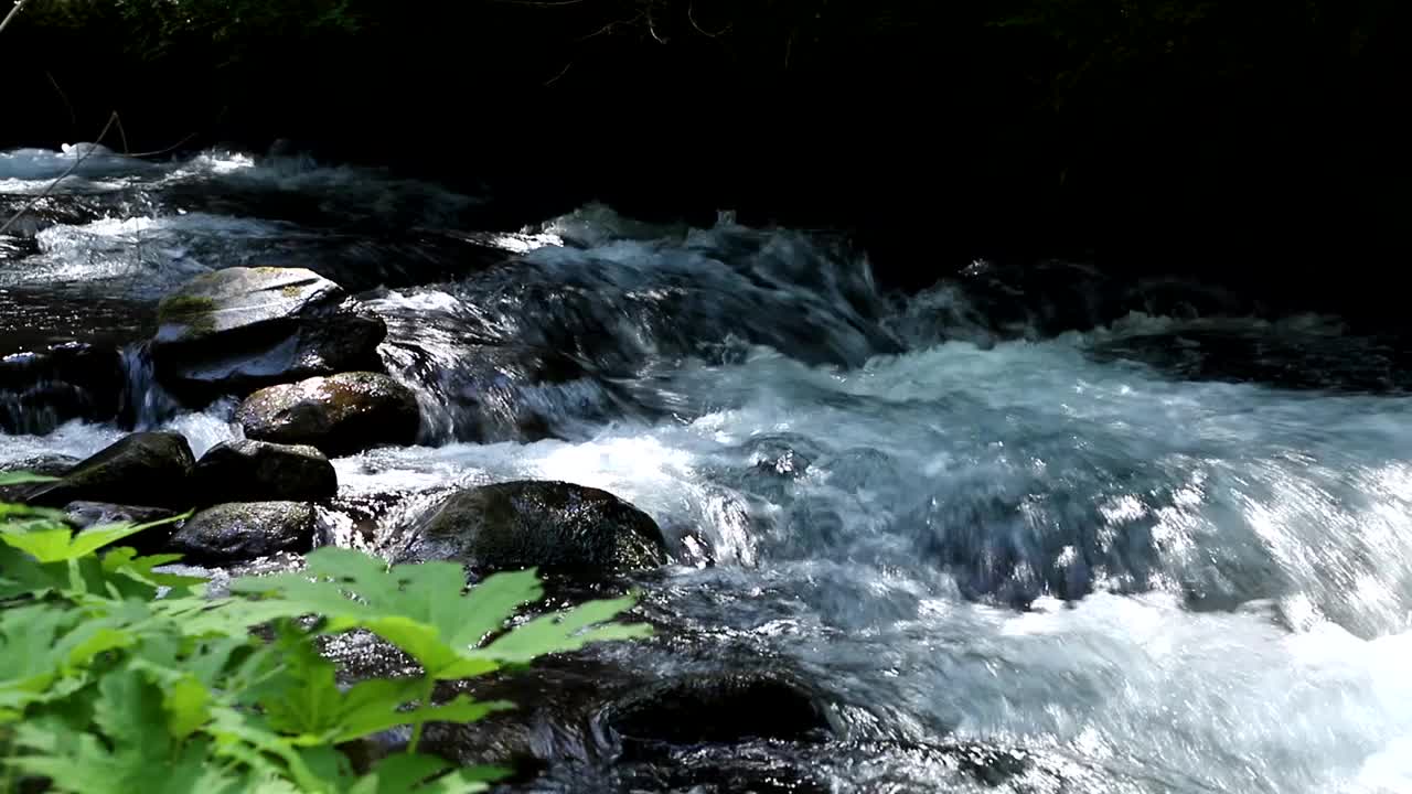 阳光山溪视频素材