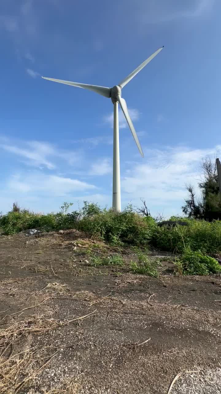 风车视频素材