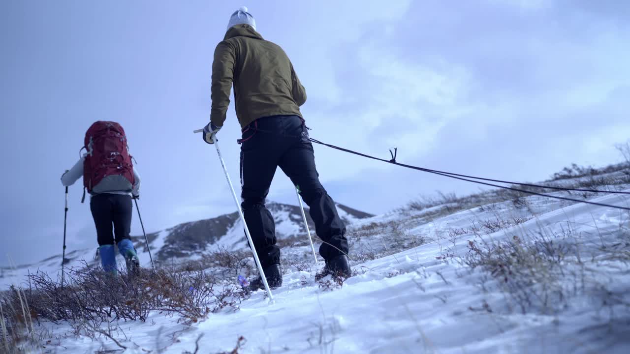 喜欢冒险的游客在国家公园的雪景中拉雪橇——阿拉斯加的德纳里国家公园视频下载