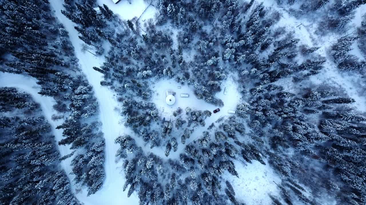 空中俯瞰的自然模式的冷杉树在雪覆盖的宁静的森林-德纳里国家公园，阿拉斯加视频下载