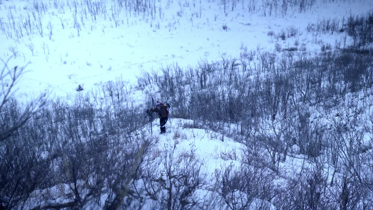 航拍:无人机拍摄的游客与滑雪杆攀登雪山在宁静的国家公园-德纳里国家公园，阿拉斯加视频下载