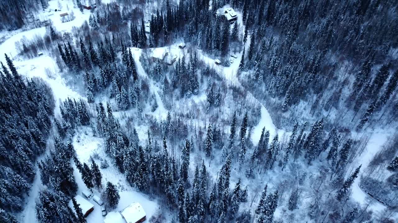 空中倾斜的风景拍摄木屋在森林树木在冬季-德纳里国家公园，阿拉斯加视频下载