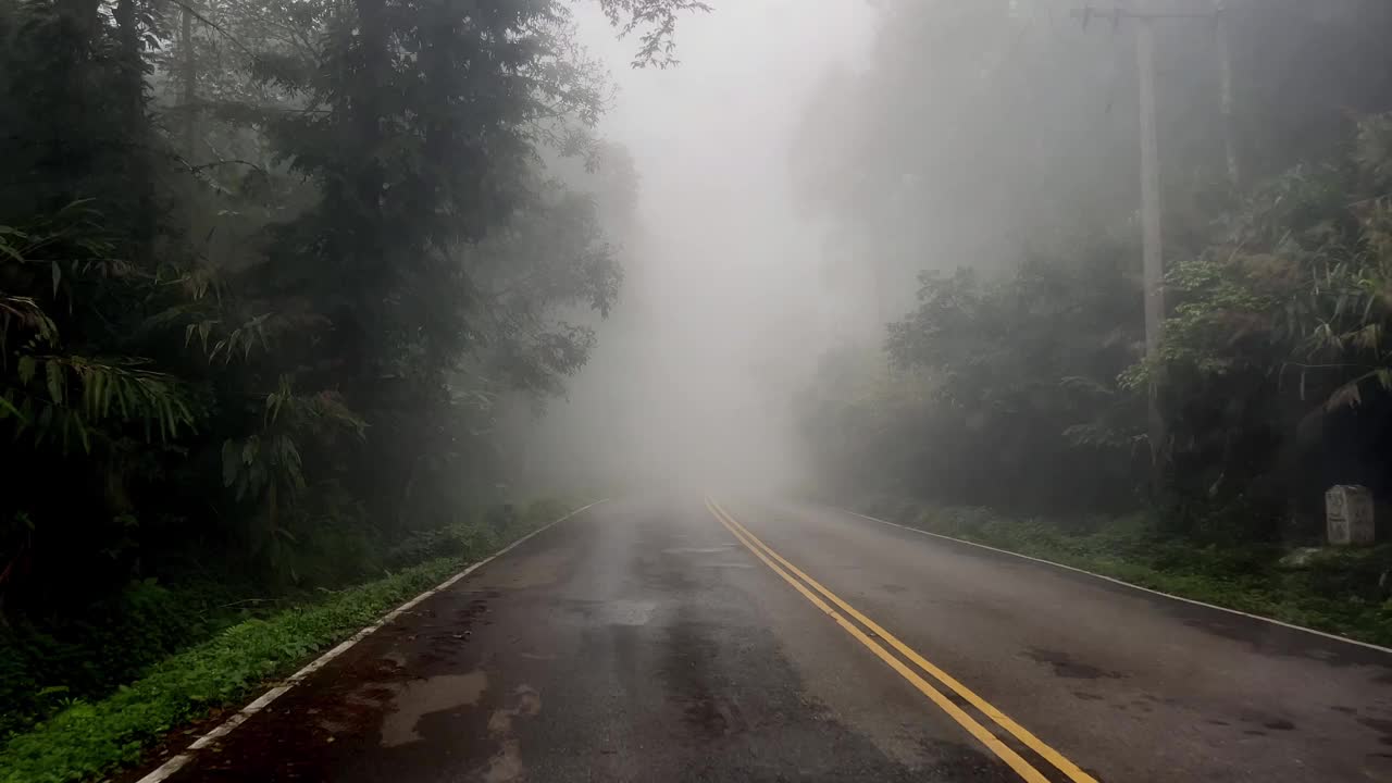 有雾的自然道路视频下载