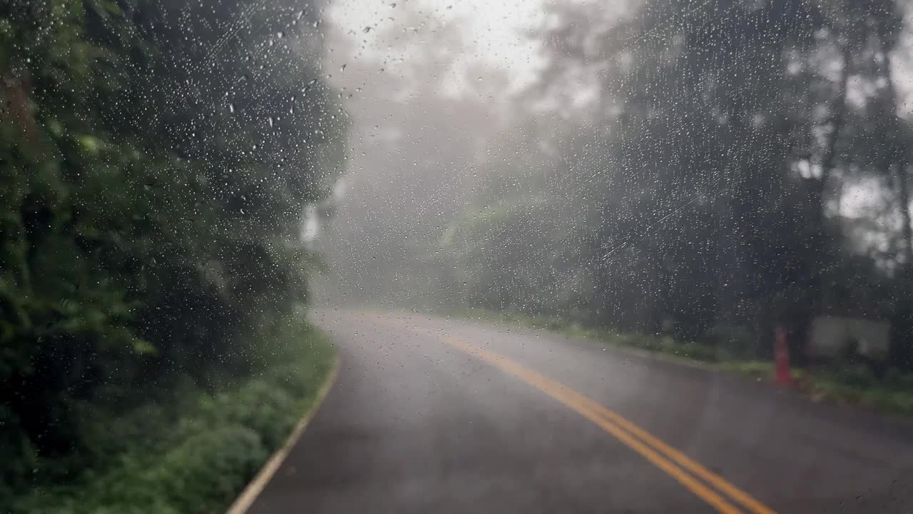 有雾的自然道路视频下载