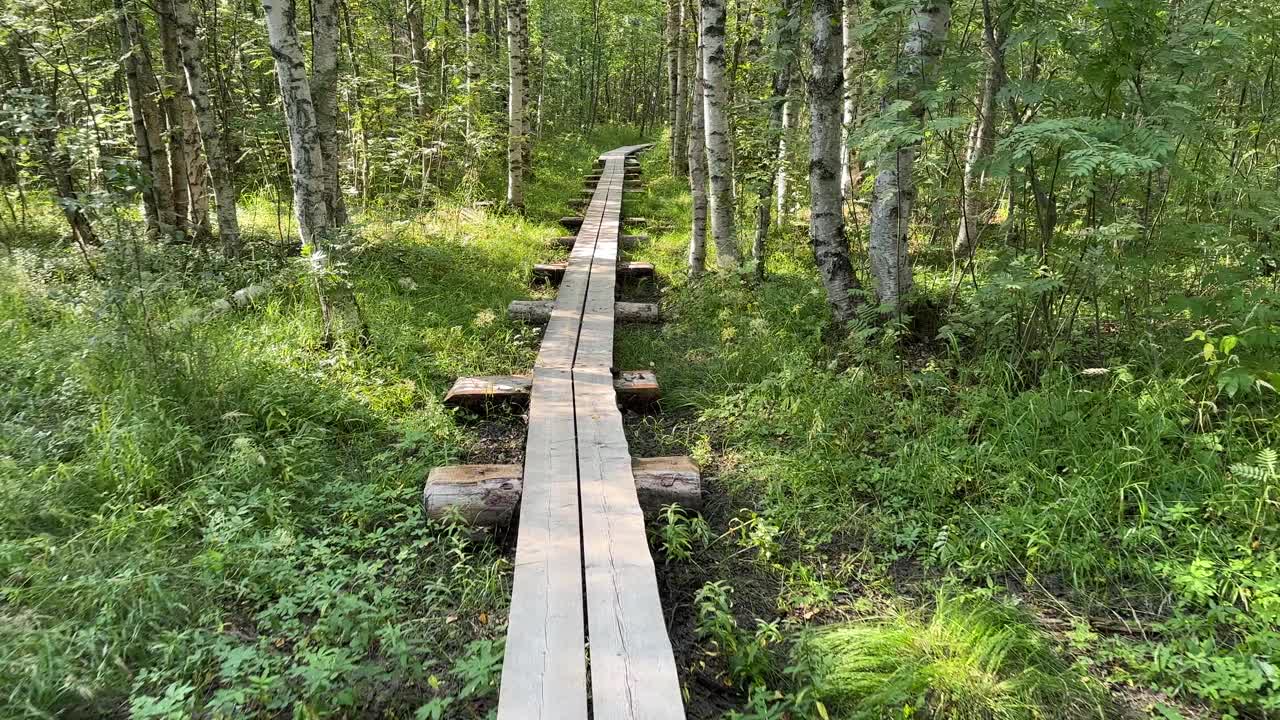 在芬兰奥卢的Letonniemi，走在冲浪板上视频下载