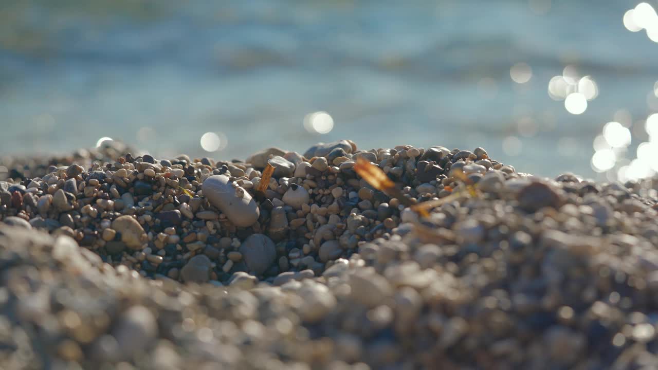 特写细节——海滩上的小鹅卵石或粗糙的沙子，模糊的午后阳光照亮了平静的大海作为背景，相机滑向一边视频素材