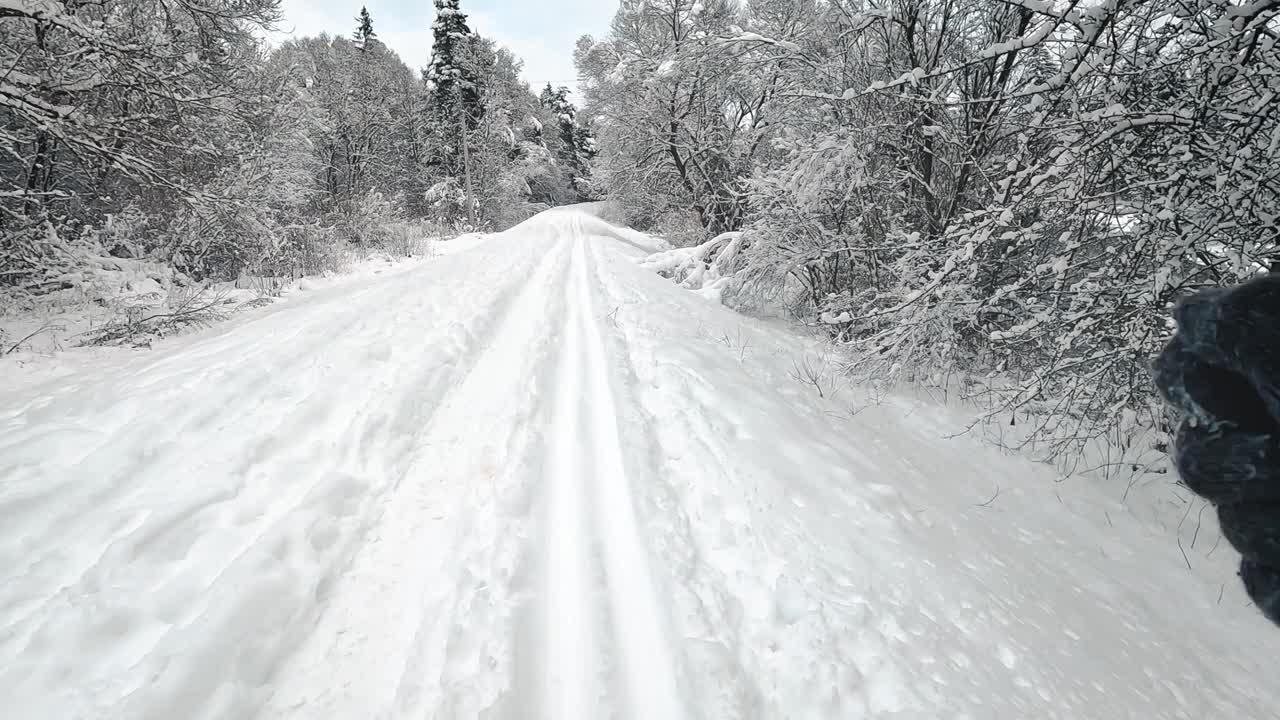 背越野滑雪，雪覆盖两侧的针叶树，动作镜头的角度视频下载