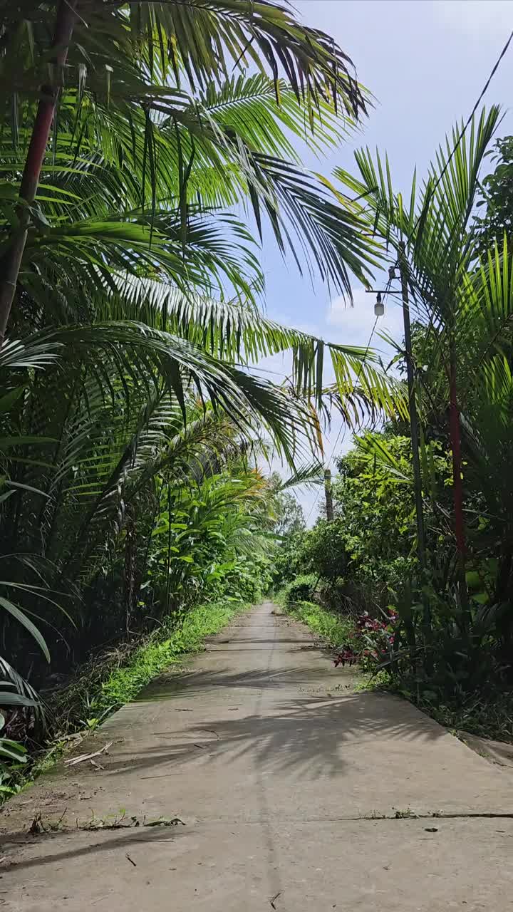 清晨，越南湄公河三角洲永隆省Mang Thit区村庄狭窄的街道。视频下载