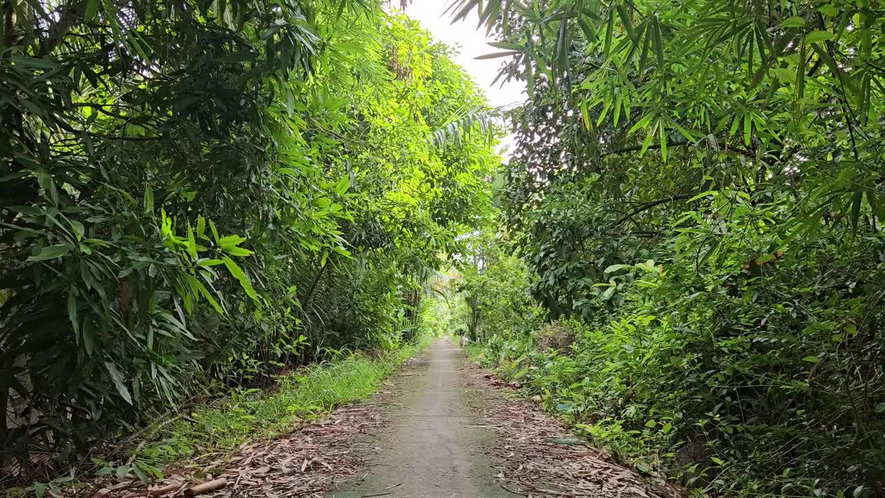 清晨，越南湄公河三角洲永隆省Mang Thit区村庄狭窄的街道。视频下载