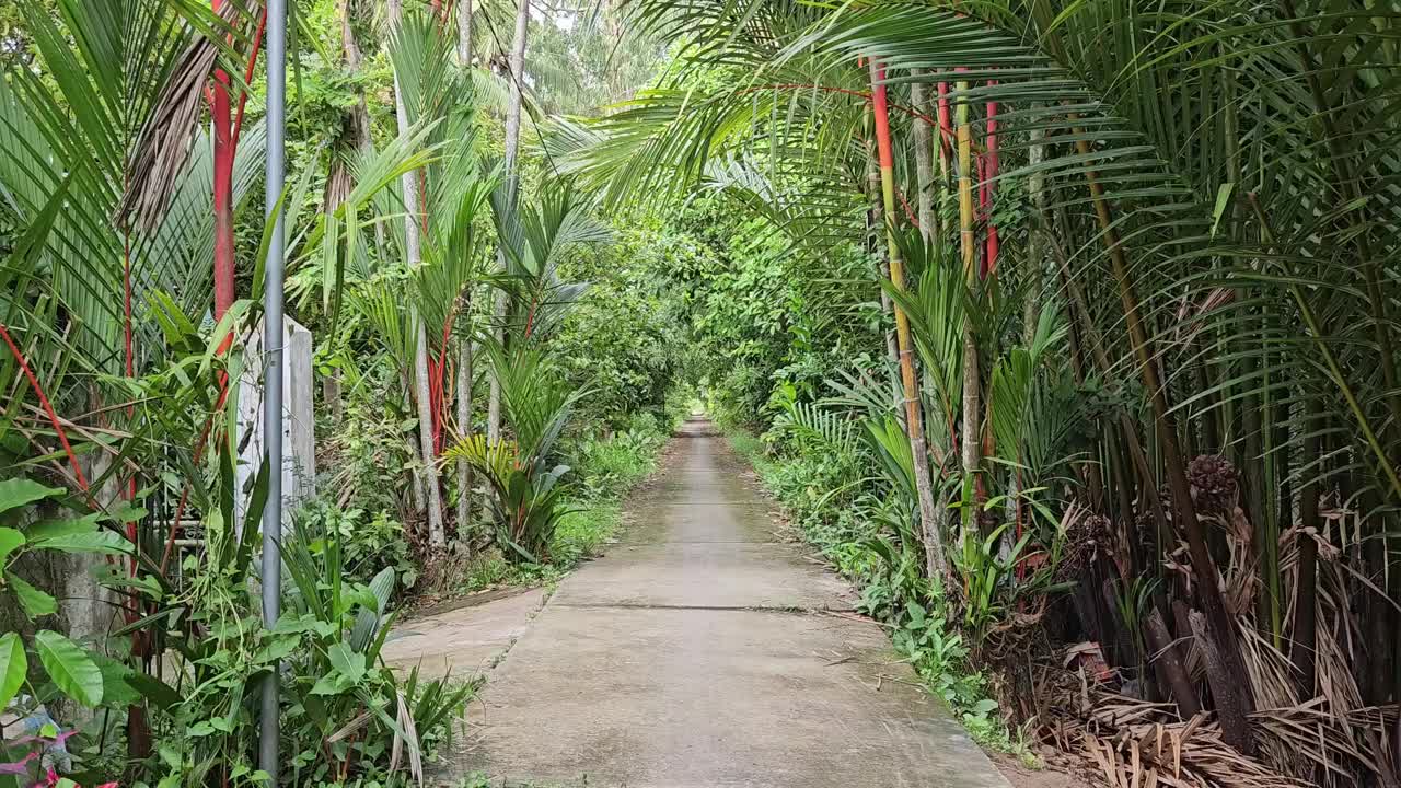 清晨，越南湄公河三角洲永隆省Mang Thit区村庄狭窄的街道。视频下载