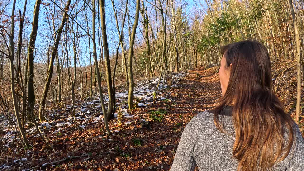 特写:一名年轻女子带着她的狗沿着风景秀丽的秋季森林小径徒步旅行视频素材