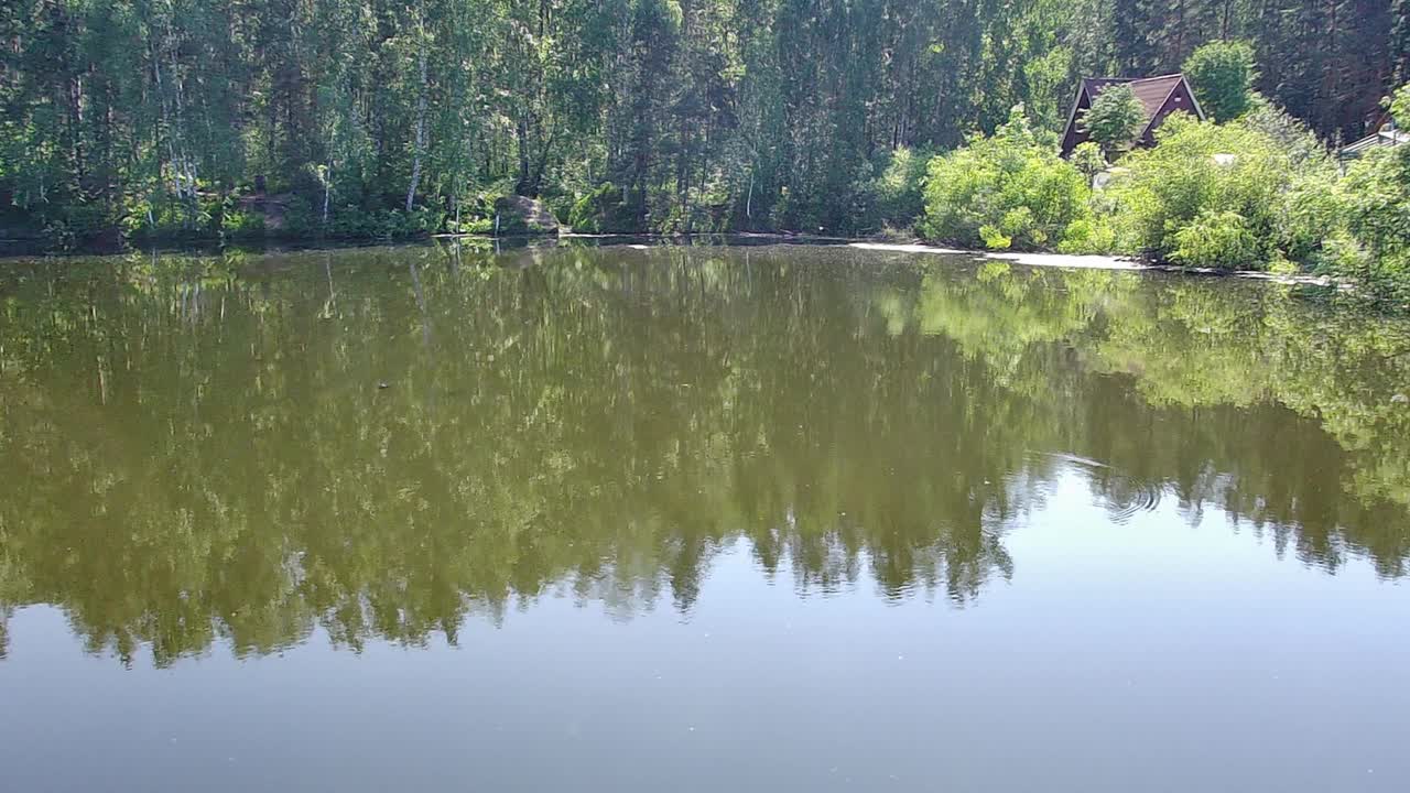 在一个阳光明媚的夏日，飞行在一个平静的湖泊表面，沼泽的海岸被茂密的森林包围。视频下载