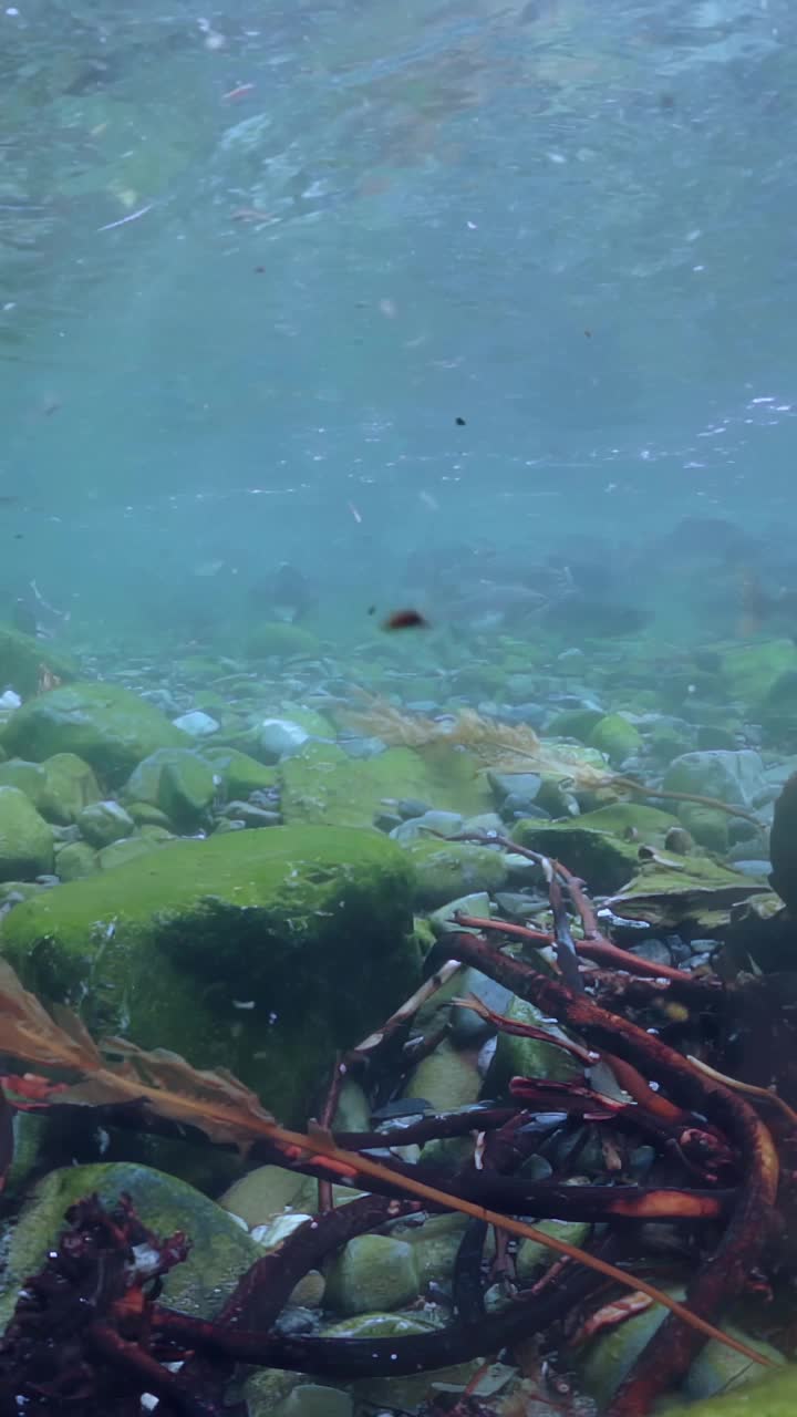 迷人的水下探索岩石地形在清澈的水域视频素材