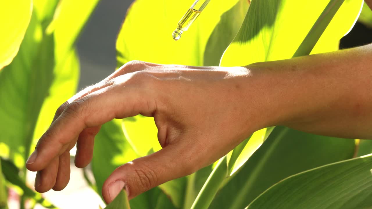 女人用滴管滴精华液或精油视频素材