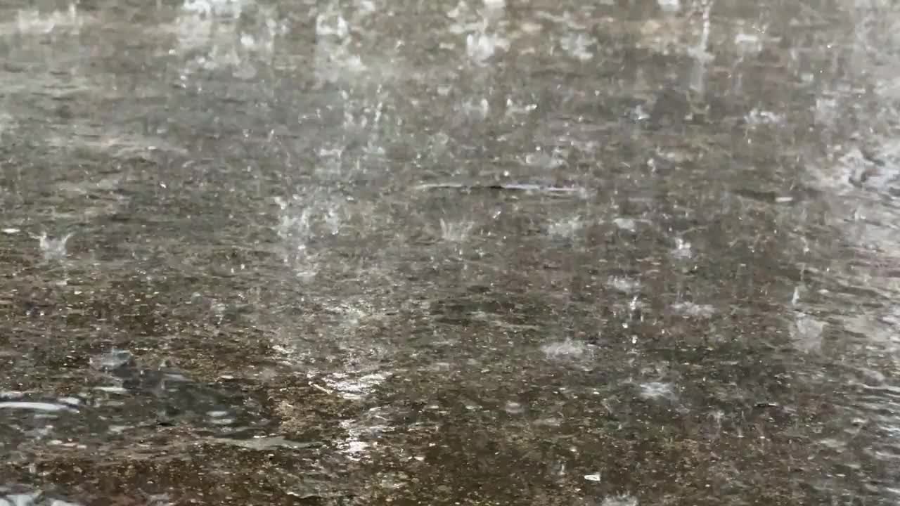 地板上的雨视频下载