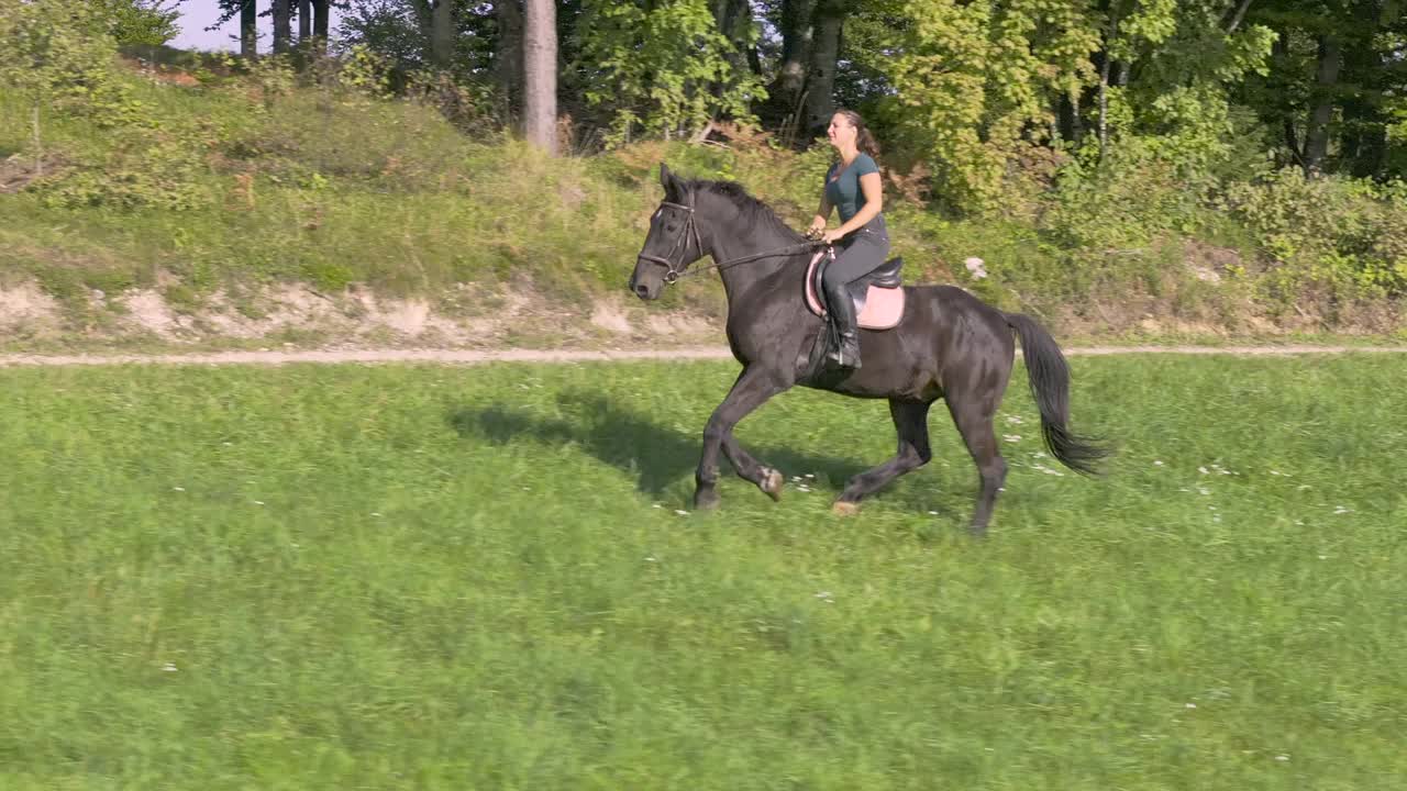 慢镜头:欢快的女骑手骑着一匹种马小跑着穿过阳光明媚的草地视频素材