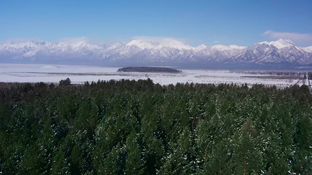 冬季景观有山和森林视频下载