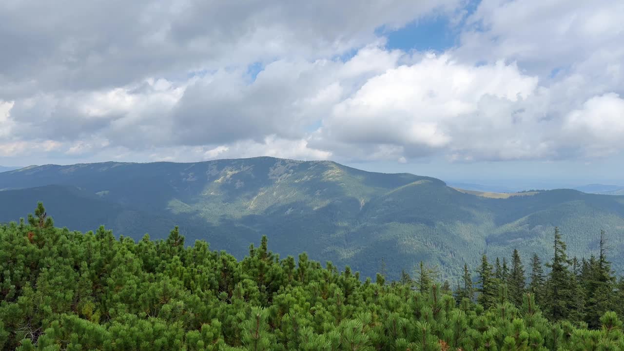 迷人的山景与松树和多云的天空视频素材