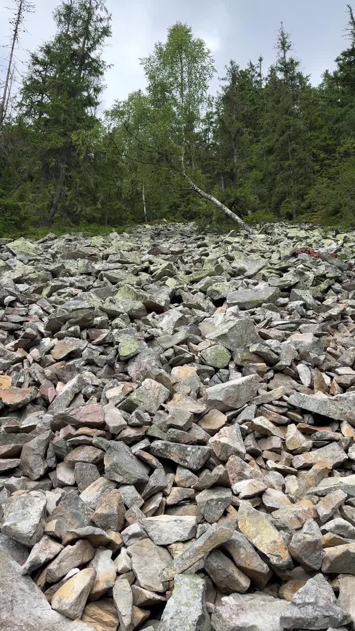 风景优美的森林景观，以岩石地形和树木为背景视频下载