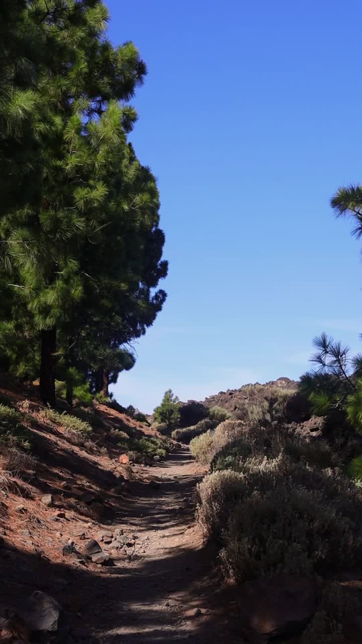 到达泰德火山底部的路线。西班牙加那利群岛特内里费岛视频下载