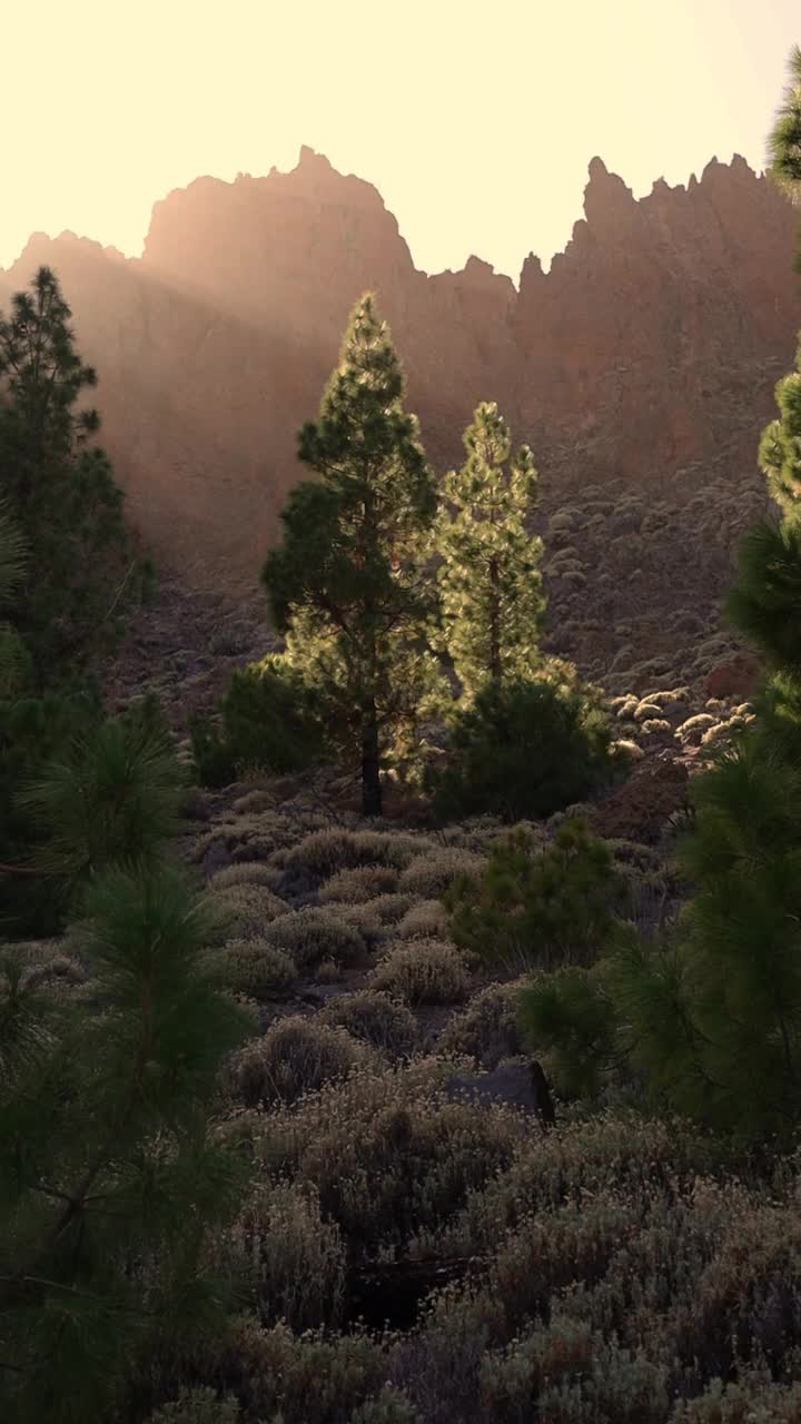 到达泰德火山底部的路线。西班牙加那利群岛特内里费岛视频下载