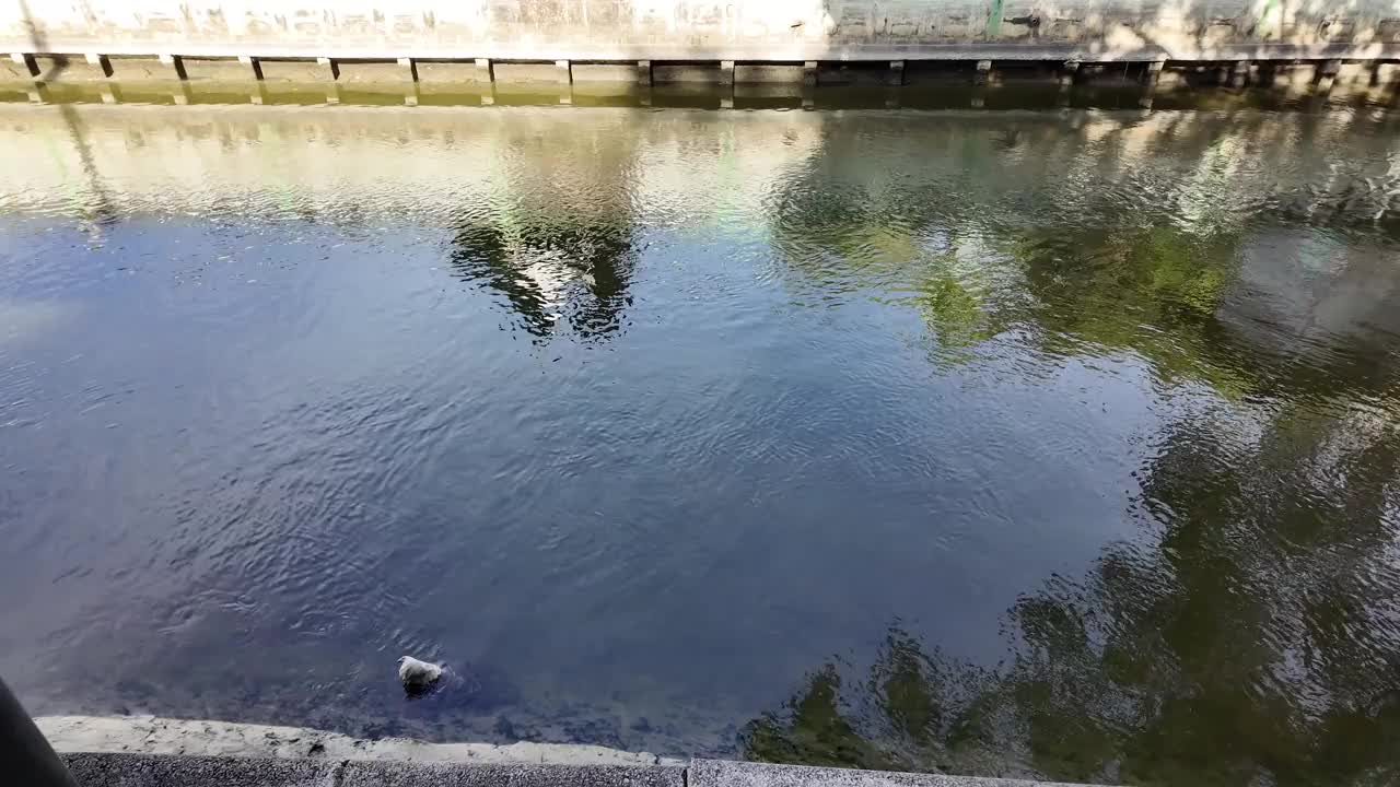 河流运河水上旅游自然户外天空建筑城市夏天无人住宅环境旅游旅游目的地航海船水搬家绿色街道海滨度假文化视频下载