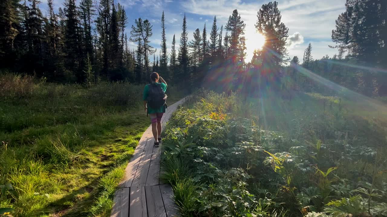 黄昏时分，背着背包的女旅行者沿着夏日森林的小路行走。视频下载