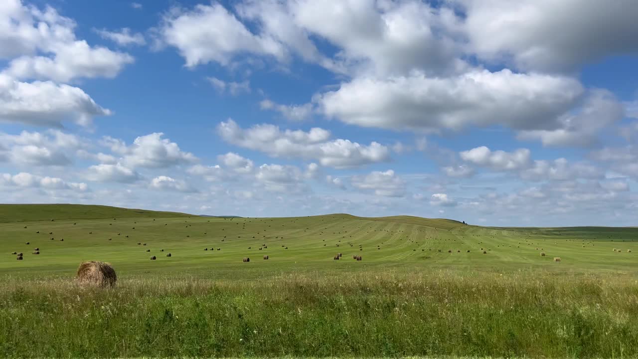 汽车从侧窗望出去是一片秋色的农田。自驾游和旅游概念。视频素材