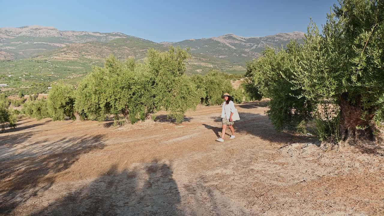 一个女人在阳光明媚的日子里走在橄榄林中，身后是群山视频素材