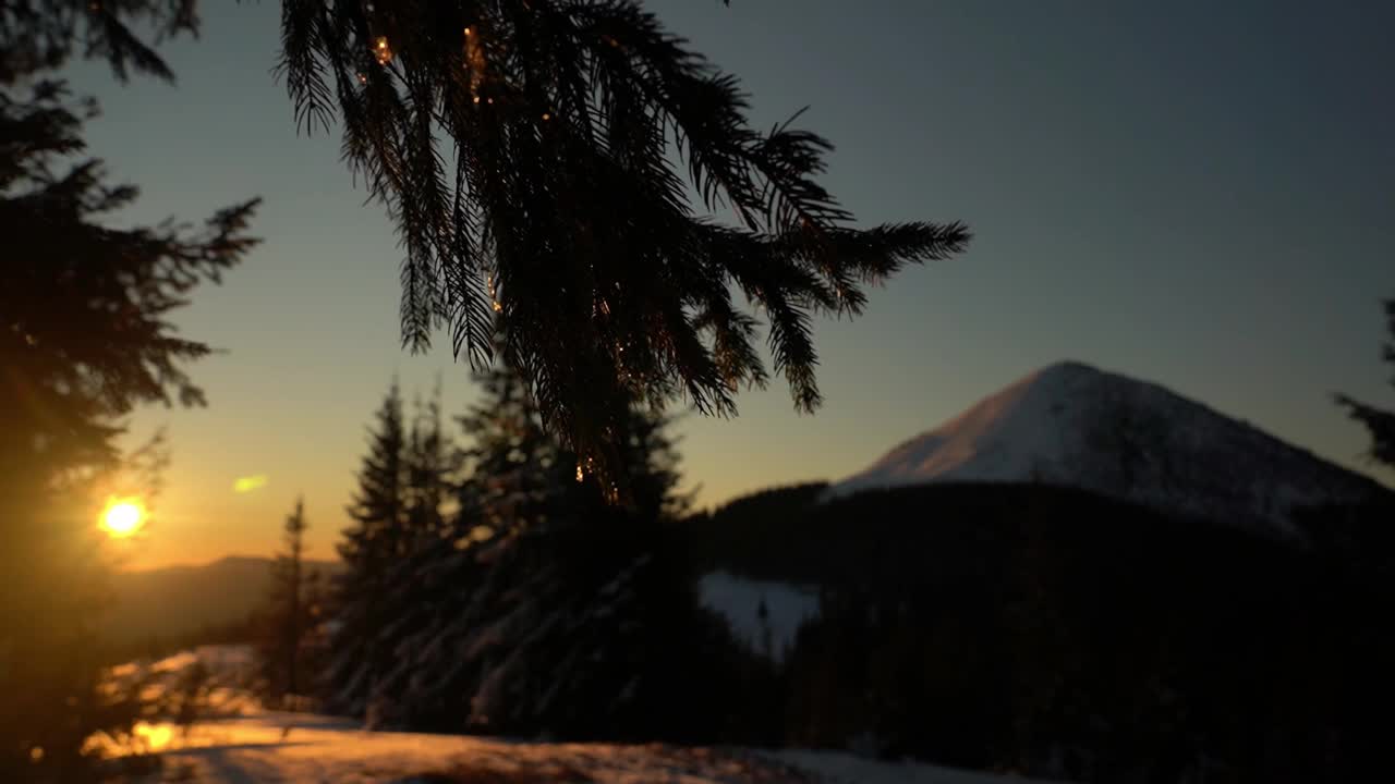 冬天，日出在山上，树木构成了风景。戈尔甘尼山脉在冬季。喀尔巴阡山脉，乌克兰视频下载