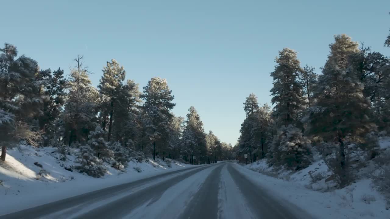 AZ-89A公路上的雪林路视频素材