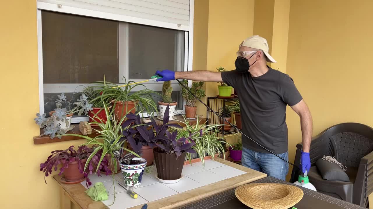 一名男子带着防护装备在自家露台上的盆栽植物上喷洒农药视频下载