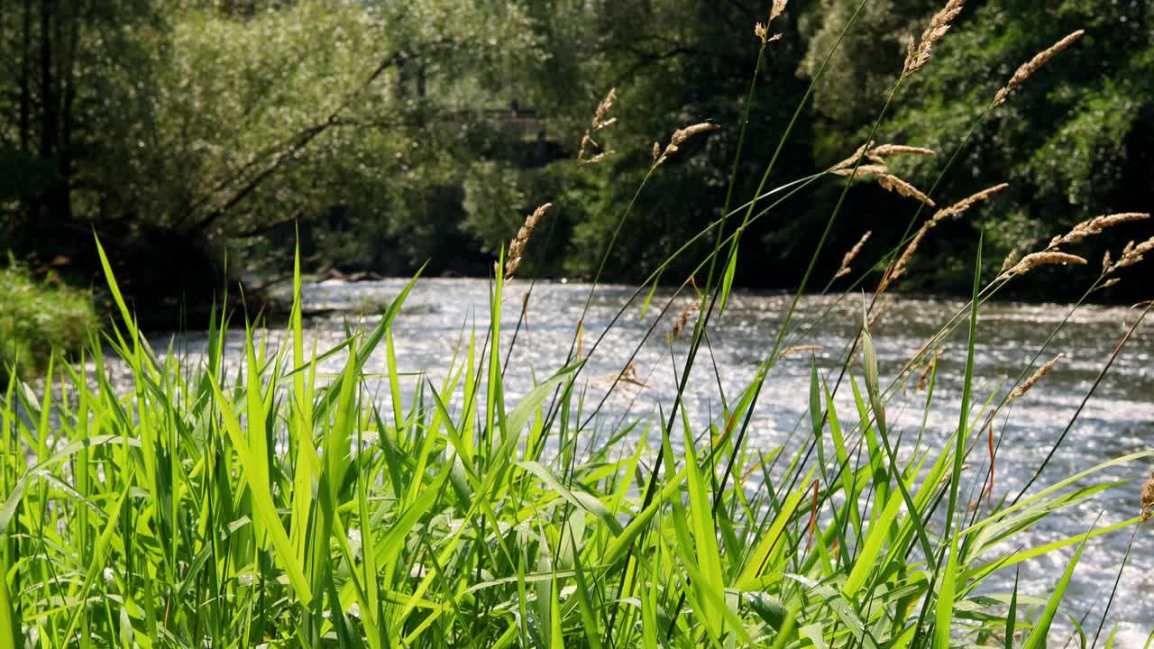 美丽的河流自然模糊背景4k 25fps视频视频下载