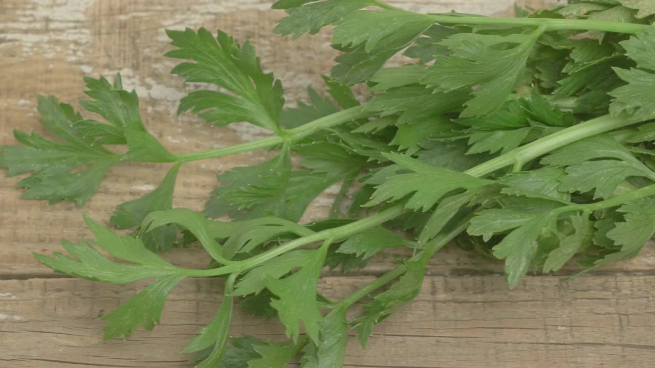 一束新鲜的香菜叶子漂亮地排列在质朴的木桌面上视频素材