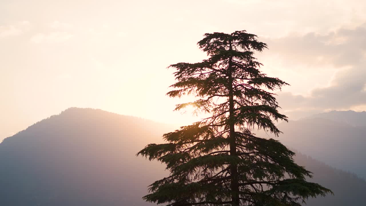 在印度喜马偕尔邦马纳利附近的纳格尔镇，夕阳下喜马拉雅山脉松树后面的太阳的4K景观拍摄。黄金时段喜马拉雅山前的树。视频下载