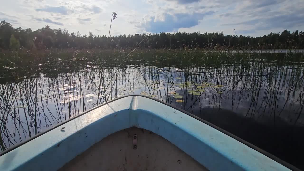 慢镜头的船通过植被在瑞典湖视频下载