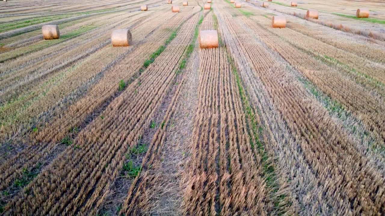 在落日的余晖中，麦田收获后，一捆捆麦秸卷成长长的影子躺在田野上。飞过草地上的稻草捆。无人机航拍图。农业景观视频下载