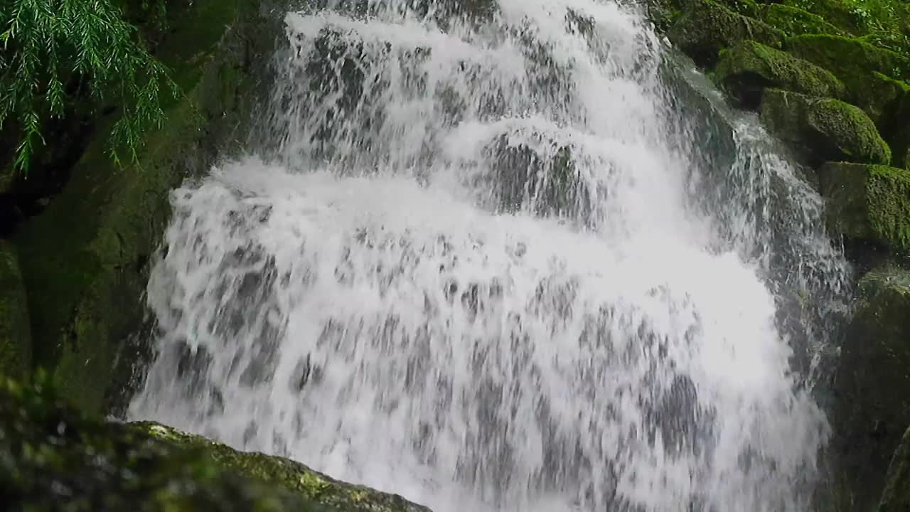 水从长满苔藓的岩石瀑布流下视频下载