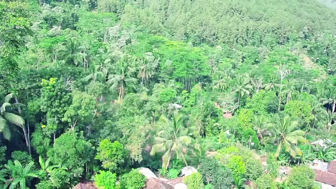 航拍景观用无人机，民居氛围在村落用无人机视频素材