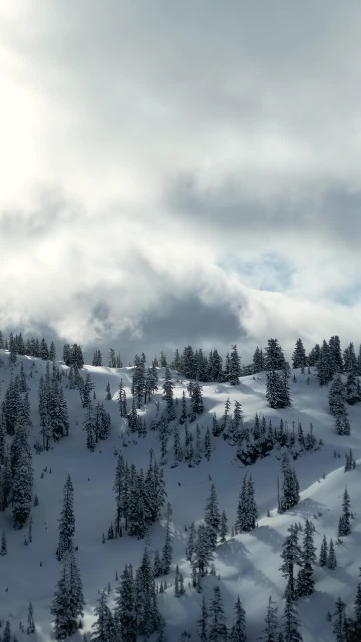 雪山景观景观。加拿大自然，不列颠哥伦比亚省，加拿大。视频下载