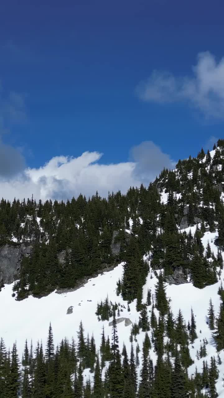 加拿大山地自然风光，树木和蓝天。加拿大不列颠哥伦比亚省。视频素材